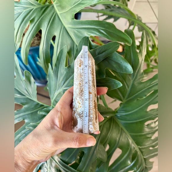 Ocean Jasper Tower - Picture 7 of 7